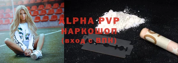 крисы Новокубанск