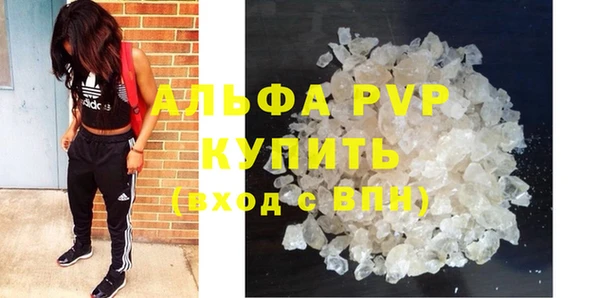 крисы Новокубанск