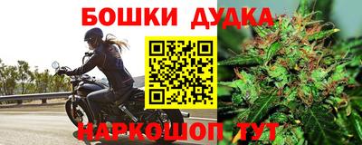 дурь Дубна