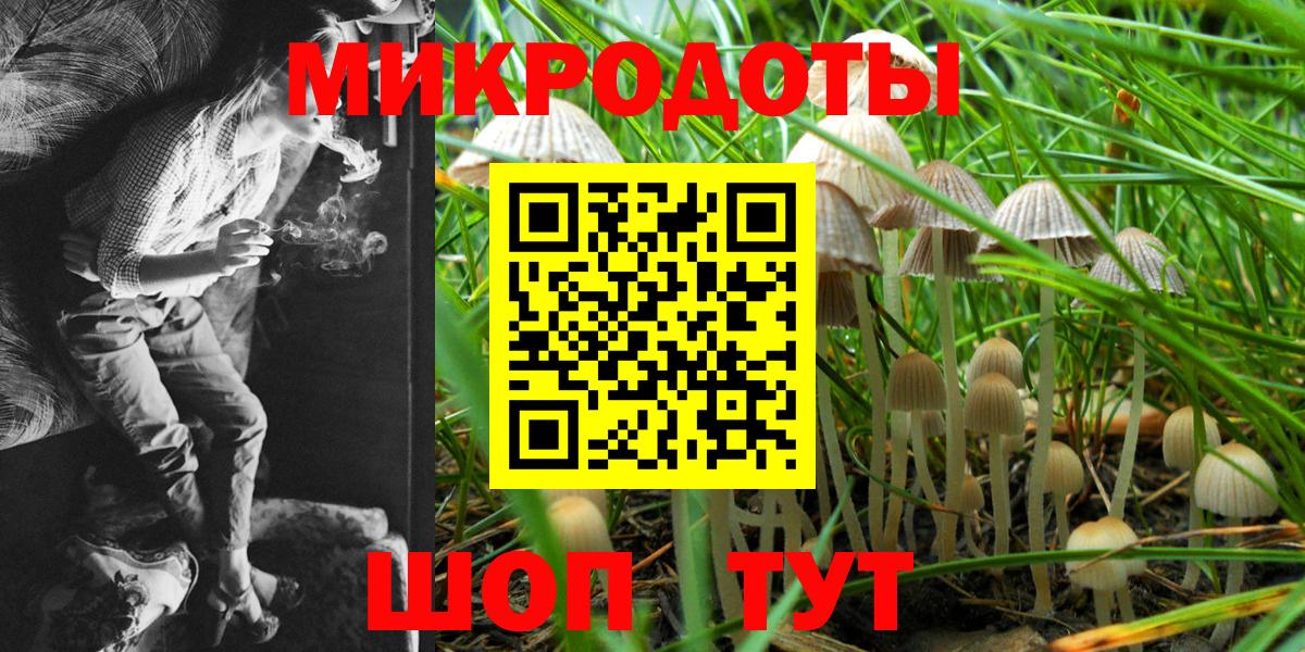 Галлюциногенные грибы Psilocybe  Вход с VPN  Кувандык 