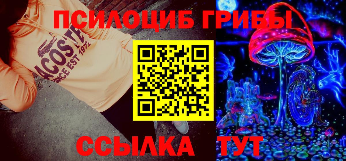 Псилоцибиновые грибы Psilocybine cubensis Кувандык